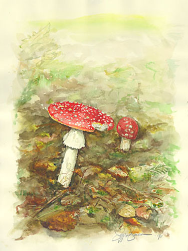 a.