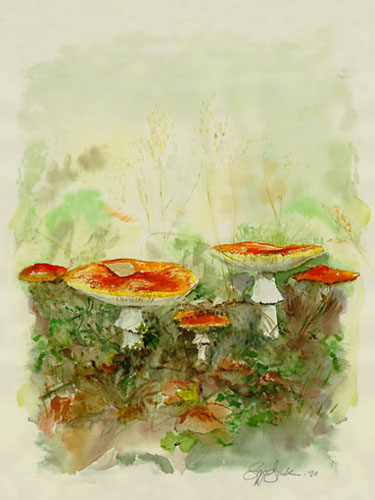 a.