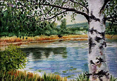 HIRVI