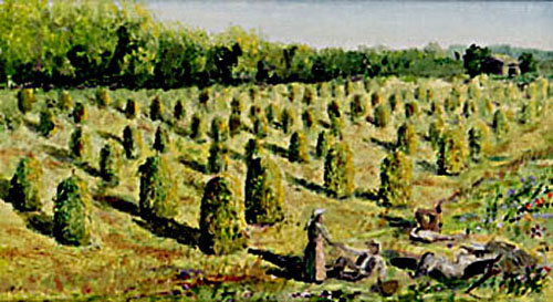 Heinänkuivatuspuita