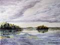 Saari